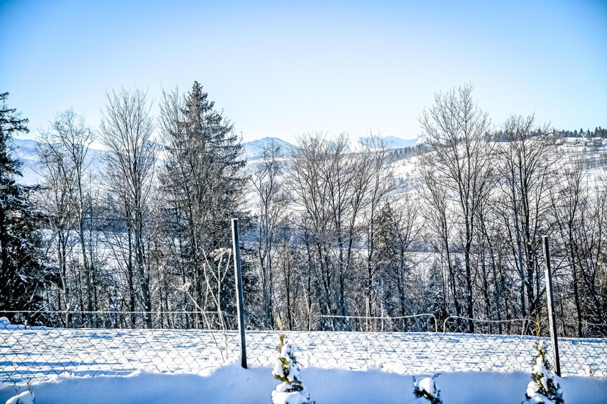 Appartement Apartament Magiczny Widok Z Widokiem Na Gory Bialy Dunajec à Poronin Extérieur photo